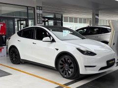 Tesla Model Y Performance All-Wheel Drive - ფოტო 3