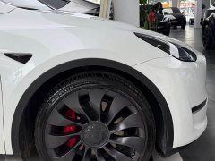 Tesla Model Y Performance All-Wheel Drive - ფოტო 5