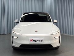 Tesla Model Y Rear-Wheel Drive - ფოტო 3