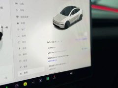 Tesla Model Y Rear-Wheel Drive - ფოტო 6