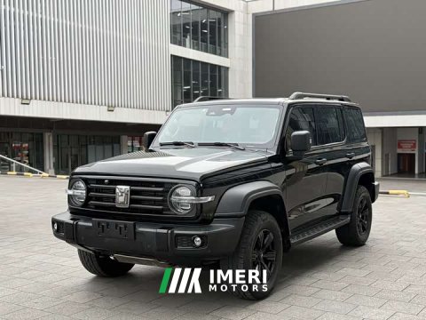 2021 Tank 300 Off-Road Edition 2.0T Conqueror - ავტომობილი ჩინეთიდან