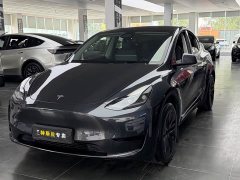 Tesla Model Y Rear-Wheel Drive - ფოტო 1