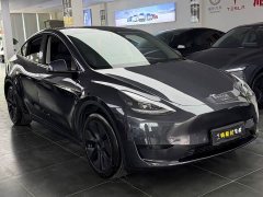 Tesla Model Y Rear-Wheel Drive - ფოტო 3