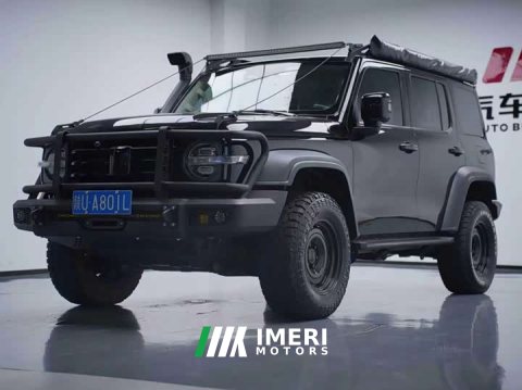 2022 Tank 300 2021 Off-Road Edition 2.0T Conqueror - ავტომობილი ჩინეთიდან