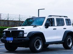 Tank 300 Off-Road Edition 2.0T Conqueror - ფოტო 1