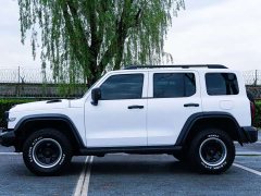 Tank 300 Off-Road Edition 2.0T Conqueror - ფოტო 5