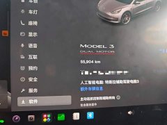 Tesla Model 3 Performance All-Wheel Drive - ფოტო 8