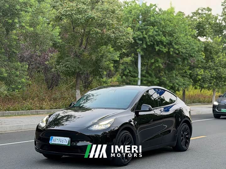 Tesla Model Y Rear-Wheel Drive - ავტომობილი ჩინეთიდან