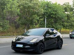 Tesla Model Y Rear-Wheel Drive - ფოტო 1