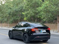 Tesla Model Y Rear-Wheel Drive - ფოტო 10