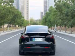 Tesla Model Y Rear-Wheel Drive - ფოტო 11