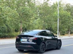 Tesla Model Y Rear-Wheel Drive - ფოტო 12