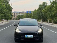 Tesla Model Y Rear-Wheel Drive - ფოტო 2