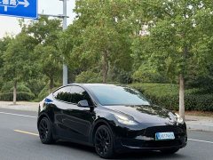 Tesla Model Y Rear-Wheel Drive - ფოტო 3