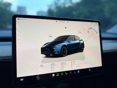 Tesla Model Y Rear-Wheel Drive - ფოტო 5