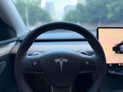 Tesla Model Y Rear-Wheel Drive - ფოტო 6