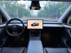 Tesla Model Y Rear-Wheel Drive - ფოტო 8