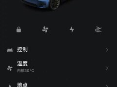 Tesla Model Y Rear-Wheel Drive - ფოტო 9