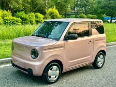 Geely Panda Mini 200km Endurance Edition - photo 1