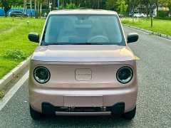 Geely Panda Mini 200km Endurance Edition - photo 2