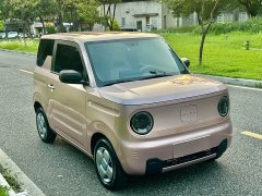 Geely Panda Mini 200km Endurance Edition - photo 3
