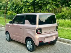 Geely Panda Mini 200km Endurance Edition - photo 4