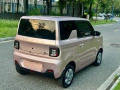 Geely Panda Mini 200km Endurance Edition - photo 6