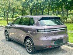 Leapmotor B10 510 Pleasure Edition - ფოტო 4