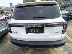 Great Wall Dachshund 2024 1.5T DCT Border Collie Edition - ფოტო 15