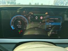Volkswagen Passat Pro 380TSI Starry Sky Dragon Edition - ფოტო 4