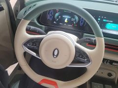 ORA Good Cat 2023 501km Long Range Luxury Ternary Lithium - ფოტო 15