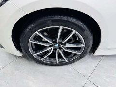 BMW 3 Series 320Li M Sport Package - ფოტო 17