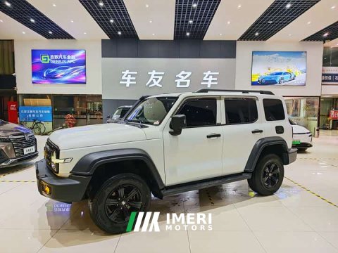 2022 Tank 300 2021 Off-Road Edition 2.0T Conqueror - ავტომობილი ჩინეთიდან