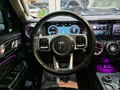 Tank 300 2021 Off-Road Edition 2.0T Conqueror - ფოტო 8