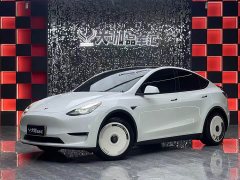 Tesla Model Y Rear-Wheel Drive - ფოტო 1