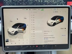 Tesla Model Y Rear-Wheel Drive - ფოტო 11