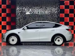 Tesla Model Y Rear-Wheel Drive - ფოტო 3