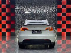Tesla Model Y Rear-Wheel Drive - ფოტო 5
