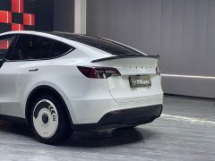 Tesla Model Y Rear-Wheel Drive - ფოტო 6