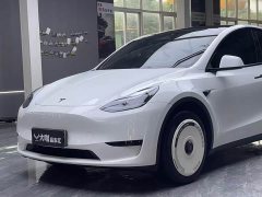 Tesla Model Y Rear-Wheel Drive - ფოტო 7