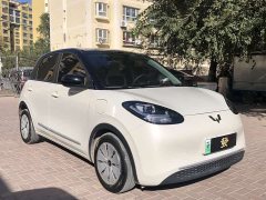 Wuling Binguo 203km Light Enjoy Edition - ფოტო 2
