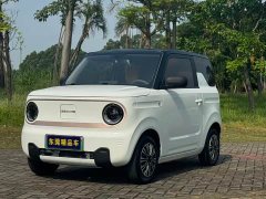 Geely Panda Mini 200km Endurance Edition - ფოტო 1