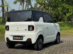 Geely Panda Mini 200km Endurance Edition - ფოტო 11
