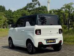 Geely Panda Mini 200km Endurance Edition - ფოტო 13