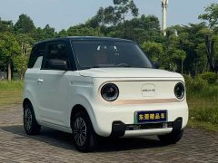 Geely Panda Mini 200km Endurance Edition - ფოტო 3