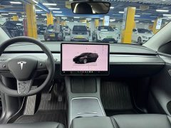 Tesla Model Y Long Range All-Wheel Drive - ფოტო 6