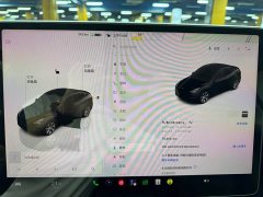 Tesla Model Y Long Range All-Wheel Drive - ფოტო 7
