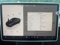 Tesla Model 3 Performance All-Wheel Drive - ფოტო 14