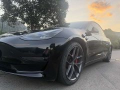 Tesla Model 3 Performance All-Wheel Drive - ფოტო 16