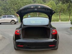 Tesla Model 3 Performance All-Wheel Drive - ფოტო 8